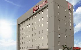 Ibis Jatai